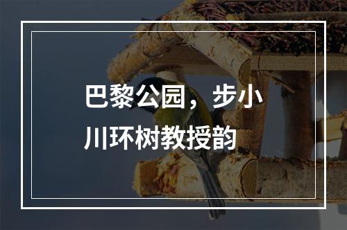 巴黎公园，步小川环树教授韵