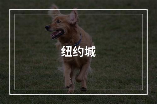纽约城