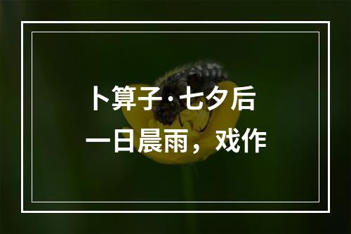 卜算子·七夕后一日晨雨，戏作