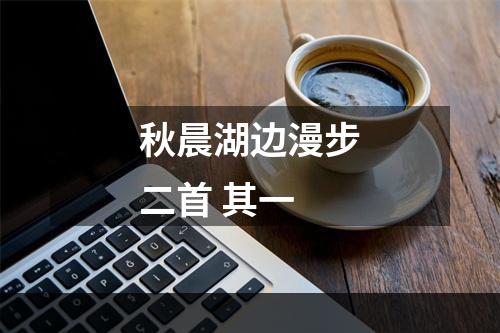 秋晨湖边漫步二首 其一