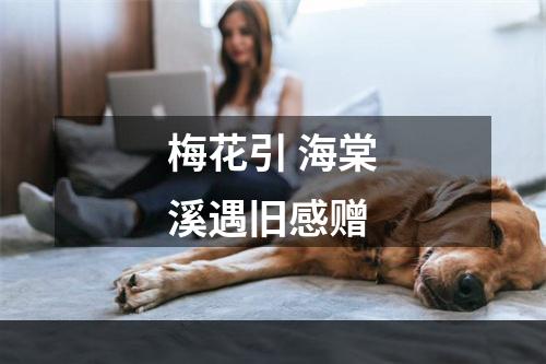 梅花引 海棠溪遇旧感赠