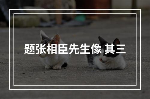 题张相臣先生像 其三