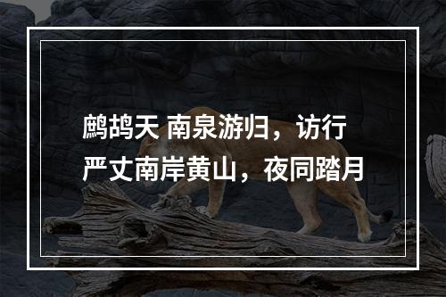 鹧鸪天 南泉游归，访行严丈南岸黄山，夜同踏月