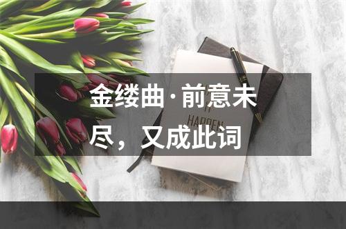 金缕曲·前意未尽，又成此词