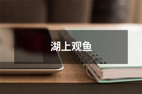 湖上观鱼