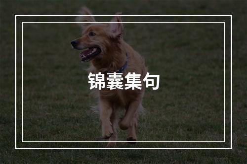 锦囊集句