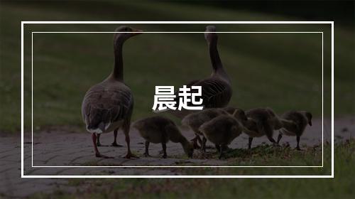 晨起