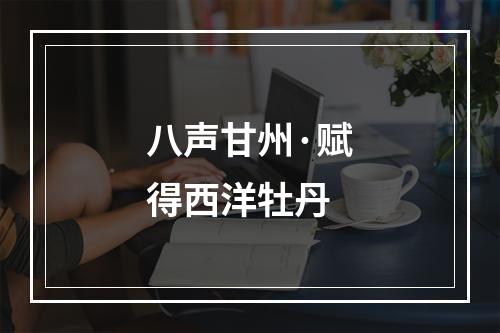 八声甘州·赋得西洋牡丹