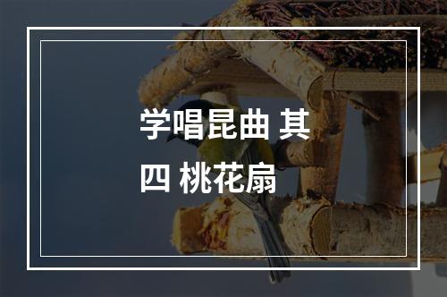 学唱昆曲 其四 桃花扇