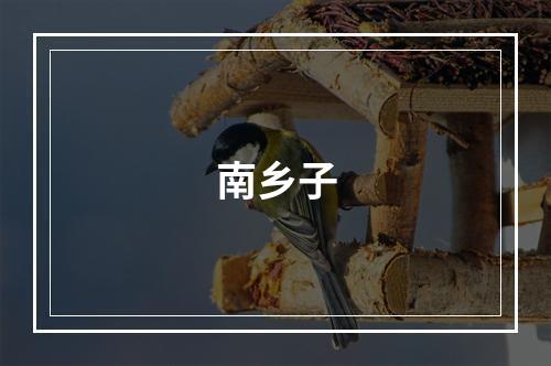 南乡子