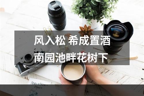 风入松 希成置酒南园池畔花树下