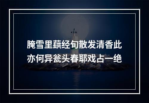腌雪里蕻经旬散发清香此亦何异瓮头春耶戏占一绝