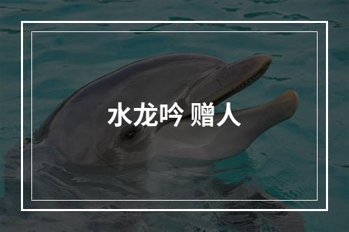 水龙吟 赠人