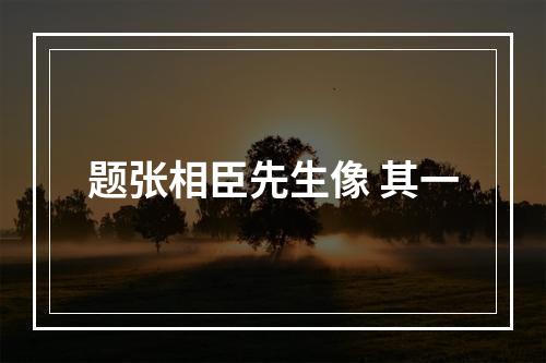 题张相臣先生像 其一