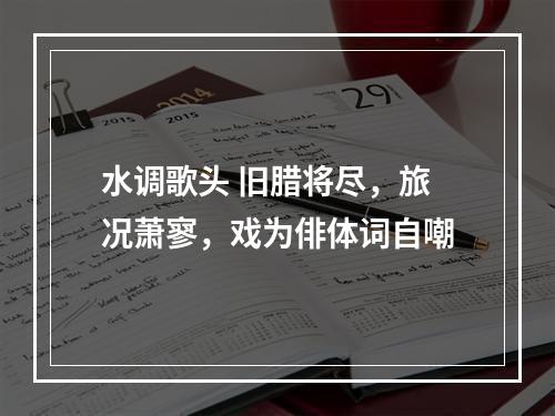 水调歌头 旧腊将尽，旅况萧寥，戏为俳体词自嘲