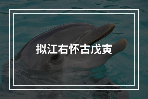拟江右怀古戊寅