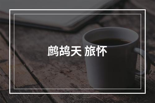 鹧鸪天 旅怀