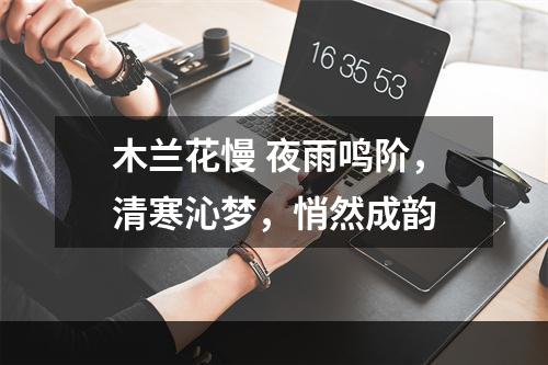 木兰花慢 夜雨鸣阶，清寒沁梦，悄然成韵