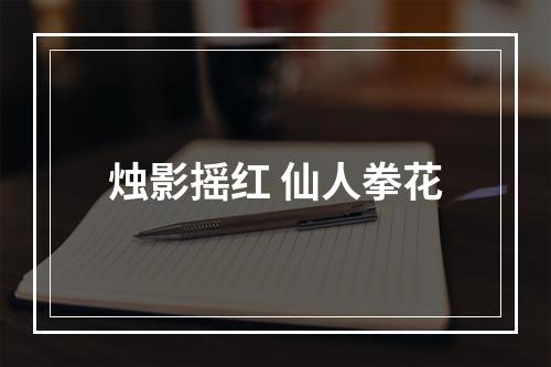 烛影摇红 仙人拳花