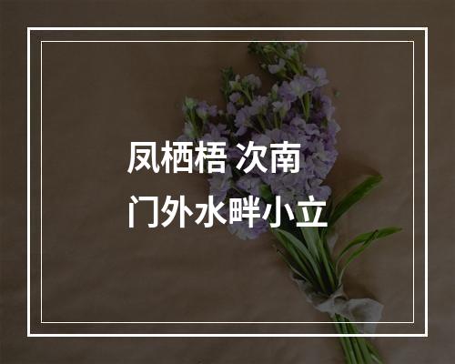 凤栖梧 次南门外水畔小立