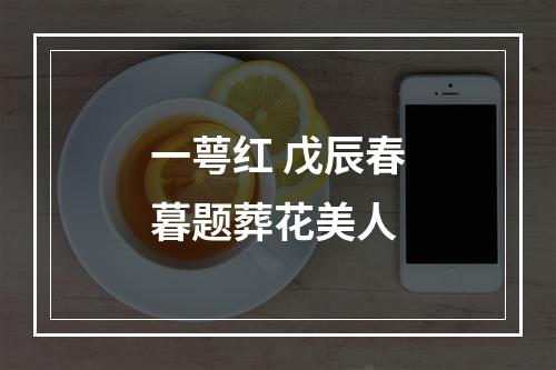 一萼红 戊辰春暮题葬花美人