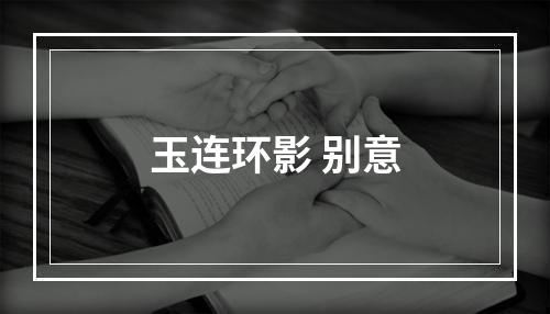 玉连环影 别意