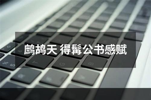 鹧鸪天 得髯公书感赋