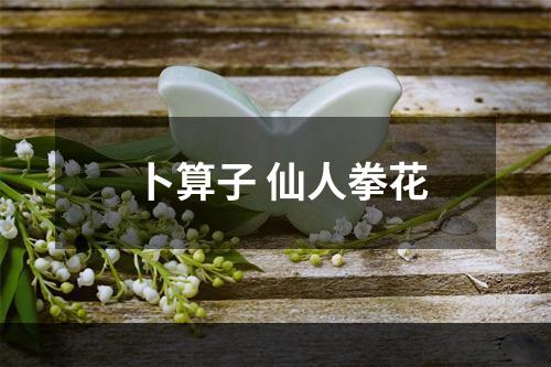 卜算子 仙人拳花