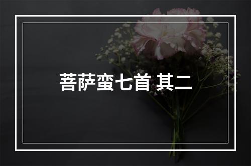 菩萨蛮七首 其二
