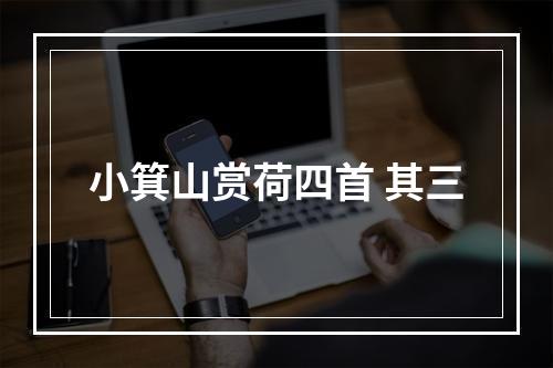 小箕山赏荷四首 其三