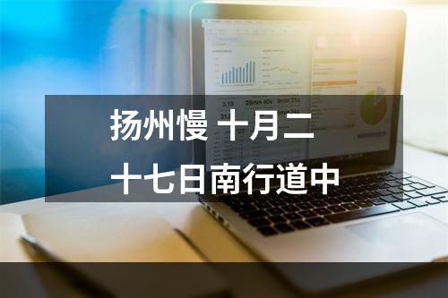 扬州慢 十月二十七日南行道中
