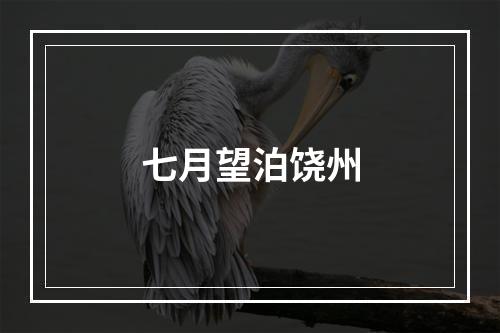 七月望泊饶州