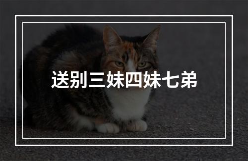 送别三妹四妹七弟