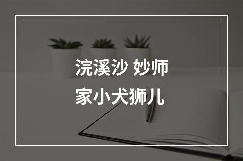 浣溪沙 妙师家小犬狮儿