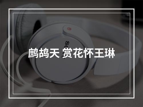 鹧鸪天 赏花怀王琳