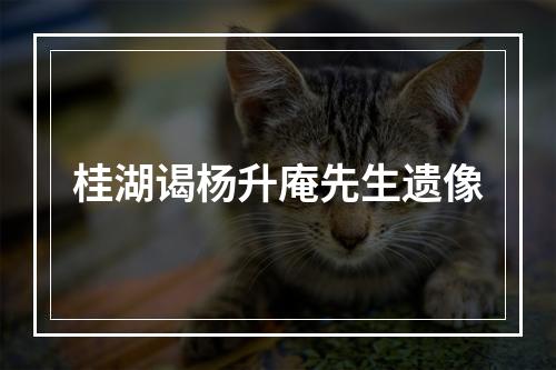 桂湖谒杨升庵先生遗像