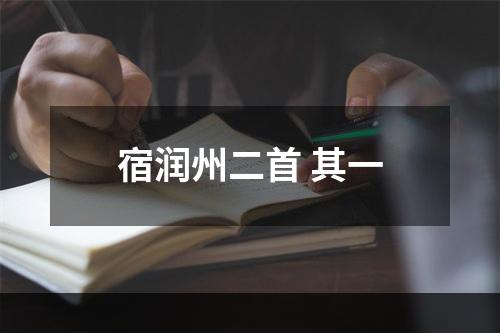宿润州二首 其一