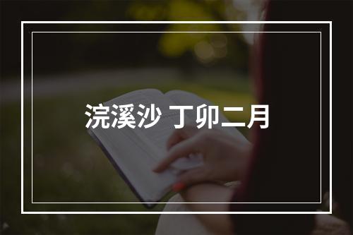 浣溪沙 丁卯二月