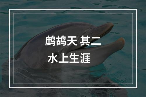 鹧鸪天 其二 水上生涯