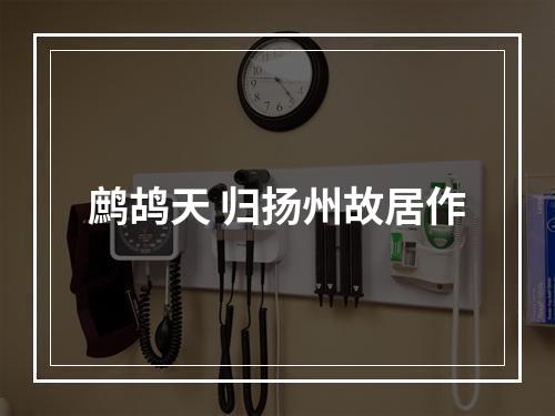 鹧鸪天 归扬州故居作