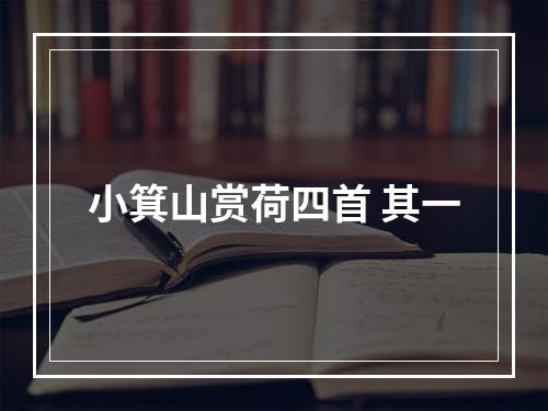 小箕山赏荷四首 其一
