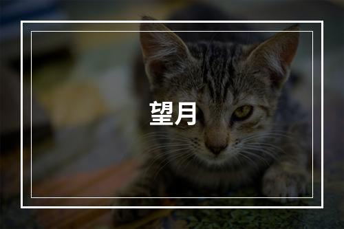 望月