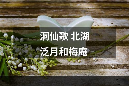 洞仙歌 北湖泛月和梅庵