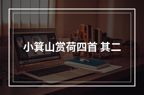 小箕山赏荷四首 其二