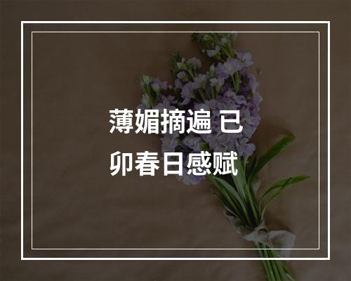 薄媚摘遍 已卯春日感赋