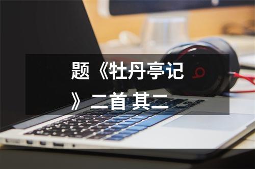 题《牡丹亭记》二首 其二