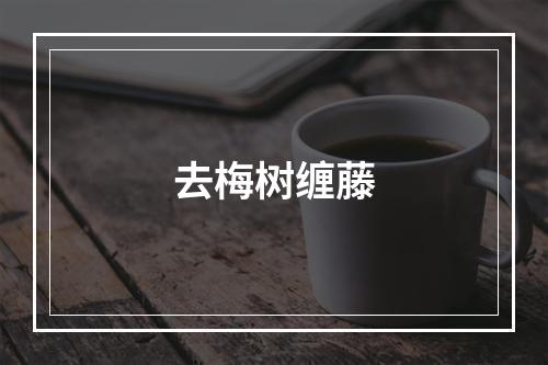 去梅树缠藤