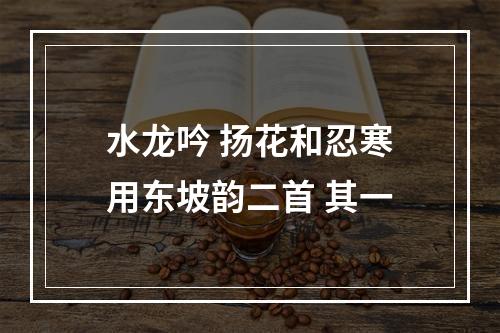 水龙吟 扬花和忍寒用东坡韵二首 其一