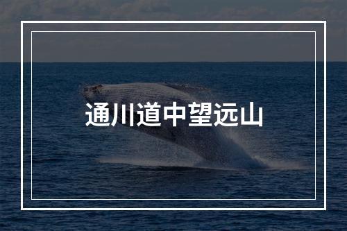通川道中望远山