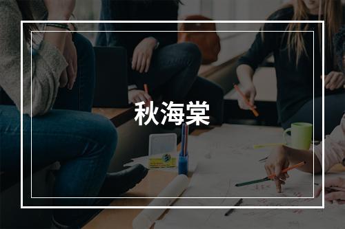 秋海棠